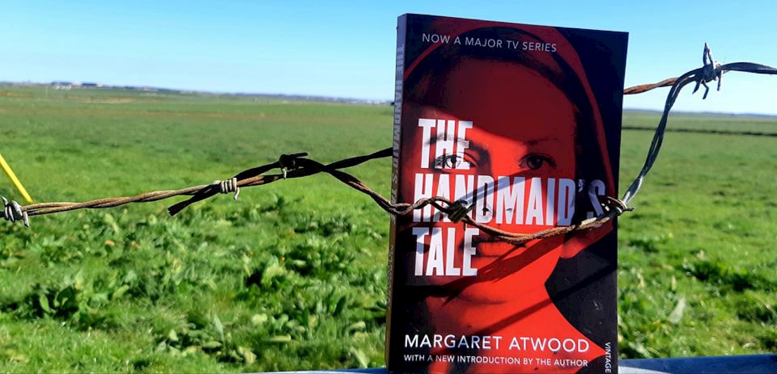 some of the programmes and books listed above